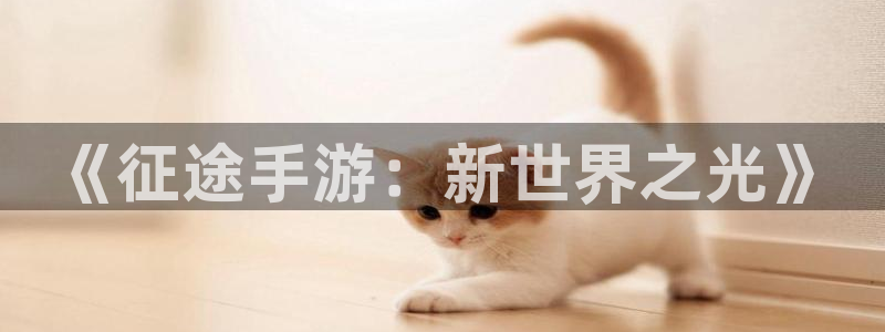 恒盛娱乐首页：《征途手游：新世界之光》