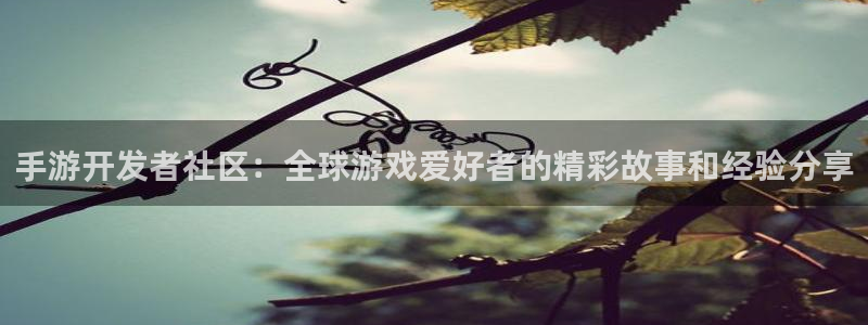恒盛娱乐平台：手游开发者社区：全球游戏爱好者的精彩故事和经验