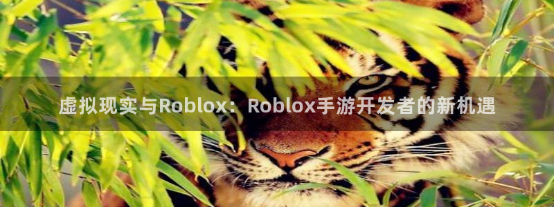 恒盛娱乐下载：虚拟现实与Roblox：Roblox手游开发者