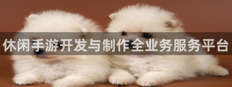 恒盛娱乐下载：休闲手游开发与制作全业务服务平台