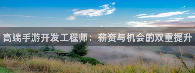 恒盛娱乐首页：高端手游开发工程师：薪资与机会的双重提升
