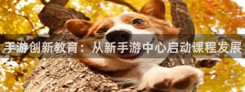 恒盛娱乐下载：手游创新教育：从新手游中心启动课程发展