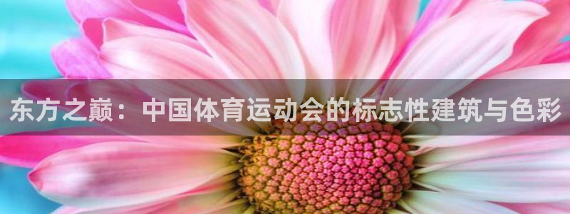 k1体育棋牌网址