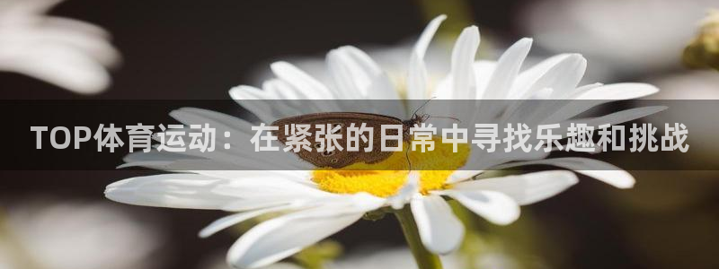 k1体育十年品牌值得信赖网址