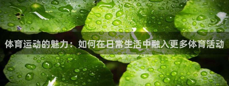k1体育十年品牌值得信赖：体育运动的魅力：如何在日常生活中融入更多体育活动