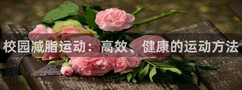 k1体育十年平台：校园减脂运动：高效、健康的运动方法