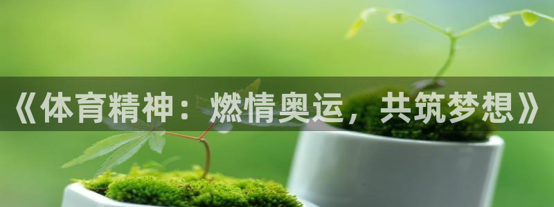 k1体育十年品牌：《体育精神：燃情奥运，共筑梦想》