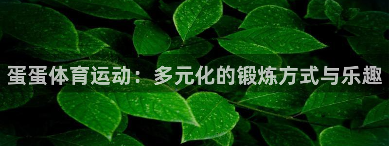 k1体育网址