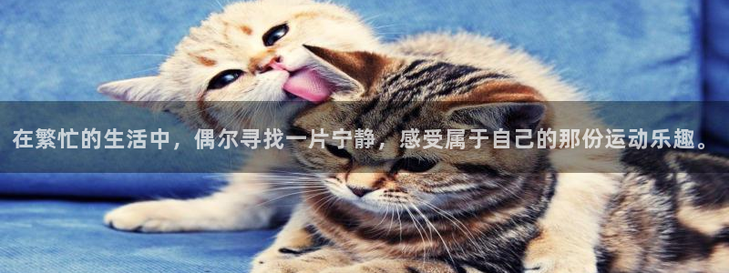 k1体育十年品牌官网：在繁忙的生活中，偶尔寻找一片宁静，感受属于自己的那份运动乐趣。