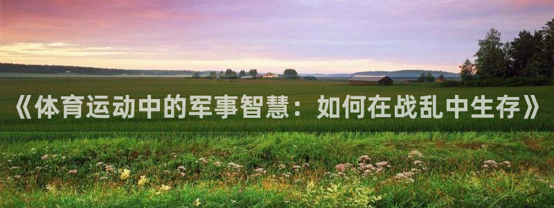 k1体育app下载链接：《体育运动中的军事智慧：如何在战乱中生存》