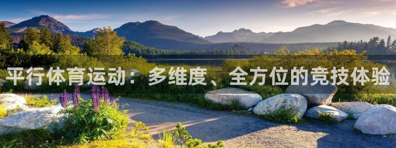 k1体育十年品牌值得信赖网址：平行体育运动：多维度、全方位的竞技体验
