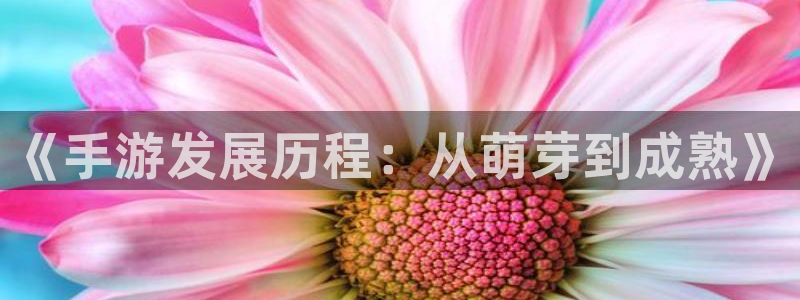 恒盛娱乐app：《手游发展历程：从萌芽到成熟》