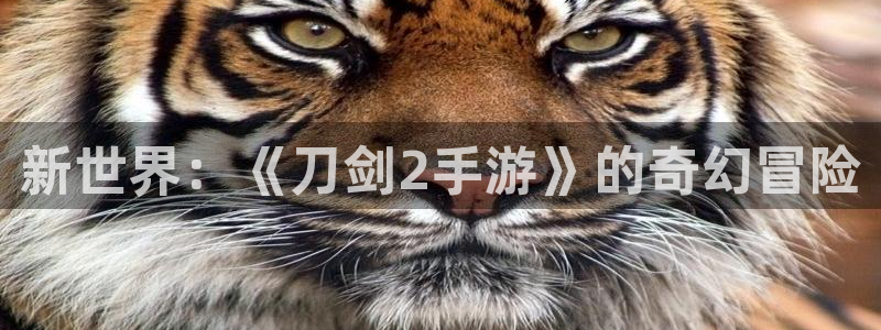 恒盛娱乐平台：新世界：《刀剑2手游》的奇幻冒险